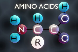 Volné formy aminokyselin mohou být jedním z faktorů ovlivňujících dlouhý a zdravý život