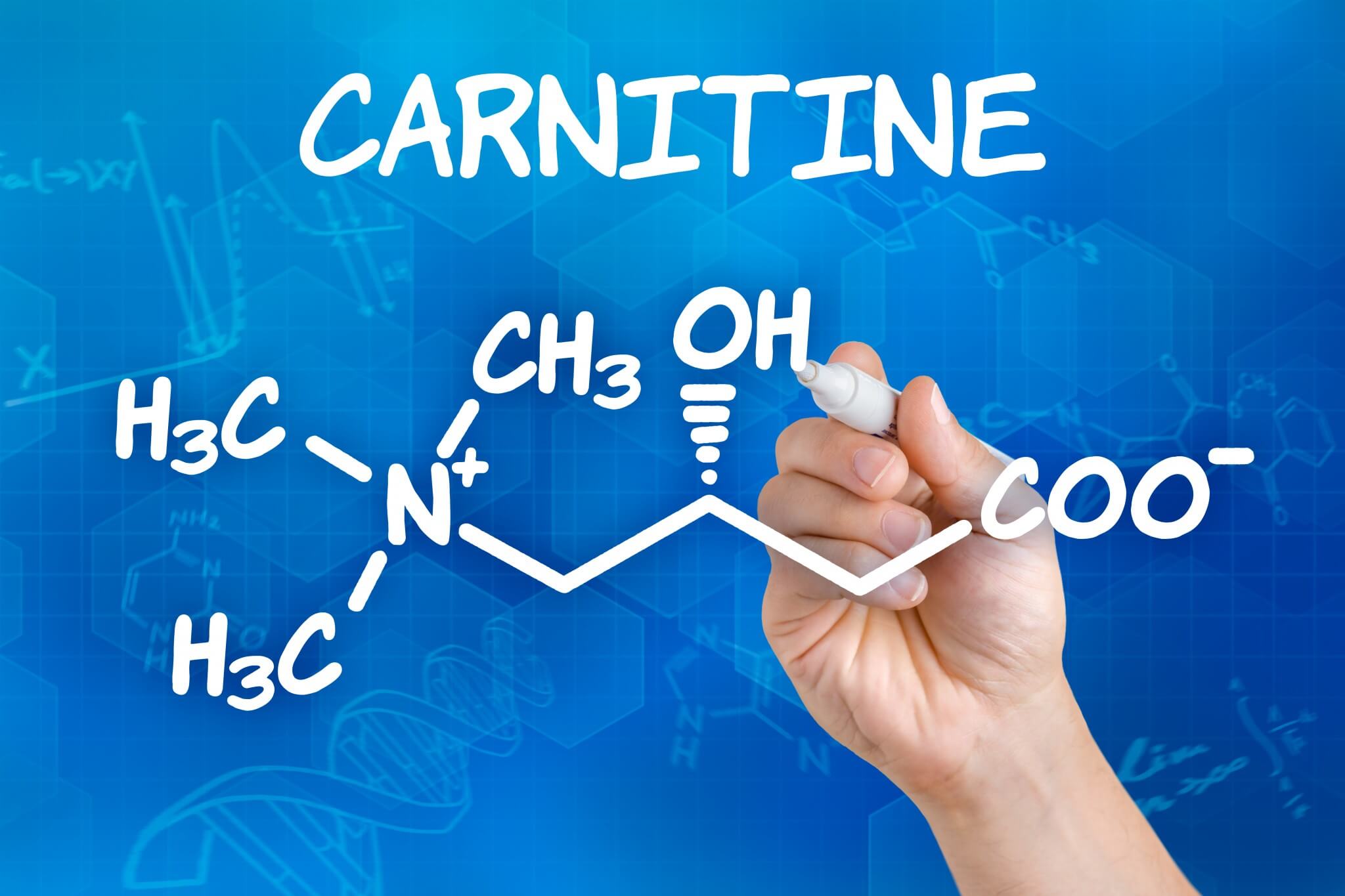 Nová využití karnitinu - zvýšení výkonu a vytrvalosti