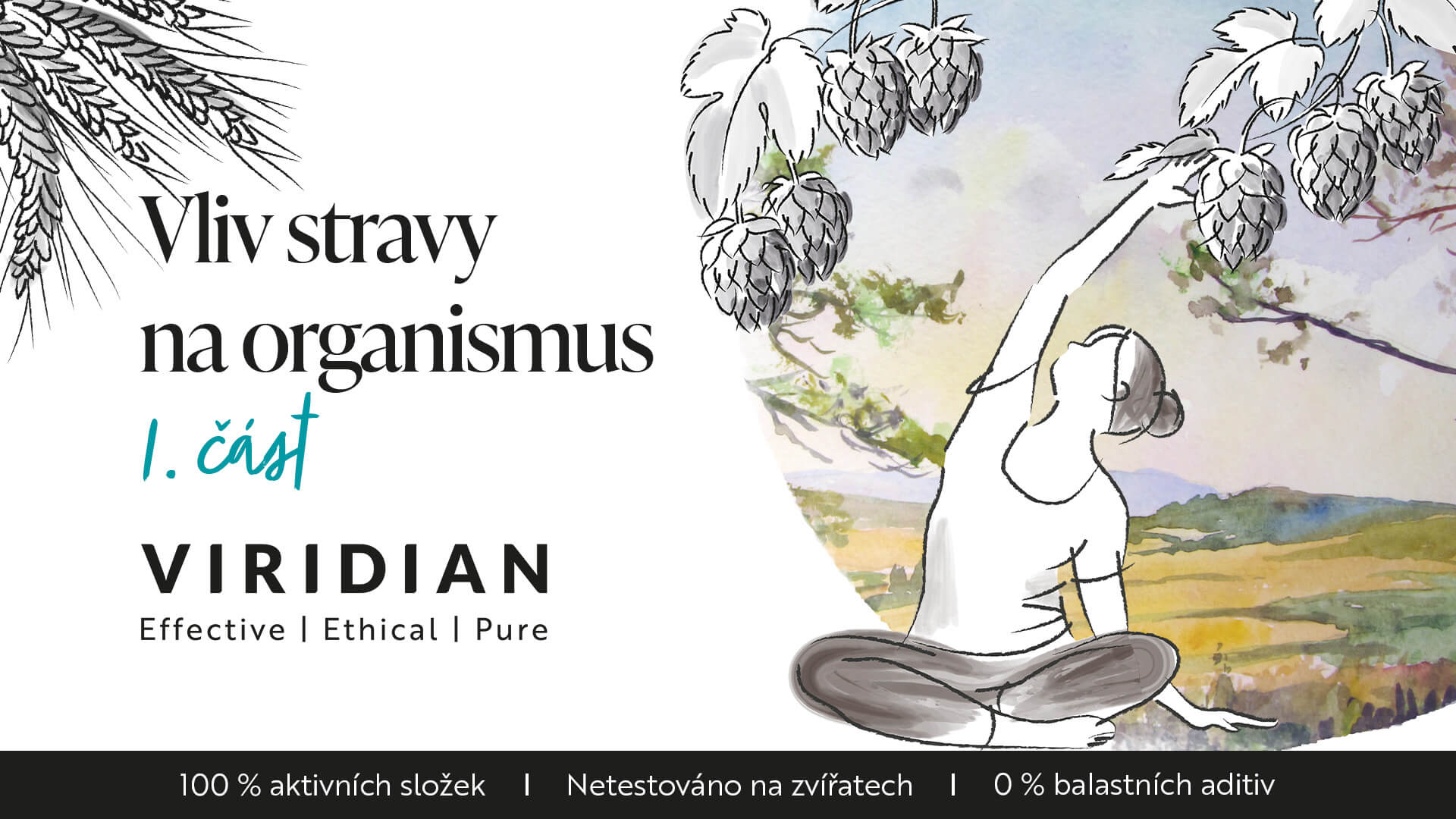 Vliv stravy na organismus - ultrazpracované potraviny a intenzivní zemědělství